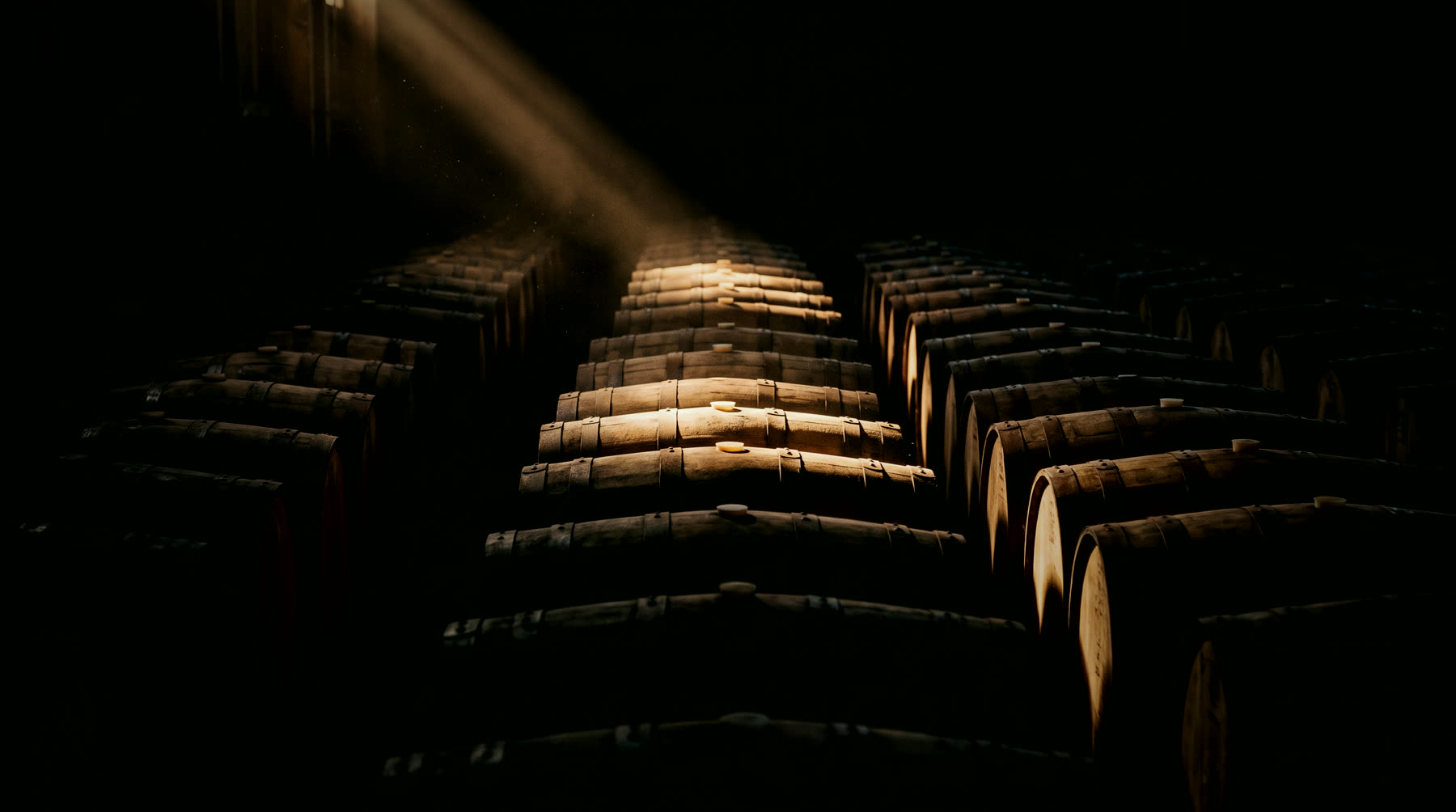 Barrels resting in the dark
